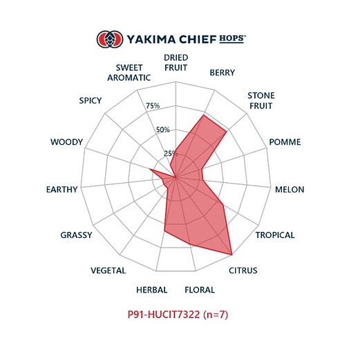 Yakima Chief Hops 2022 Citra Lot P91-HUCIT7322